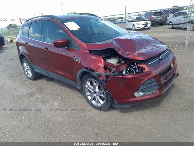 FORD ESCAPE 2014 1fmcu0gx9eub07922