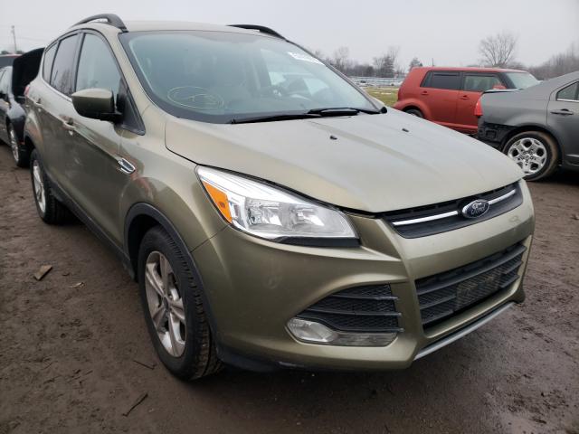 FORD ESCAPE SE 2014 1fmcu0gx9eub13994