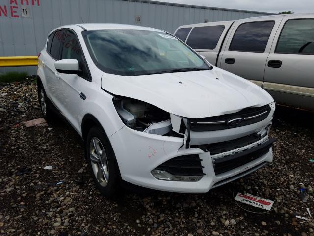 FORD ESCAPE SE 2014 1fmcu0gx9eub24557