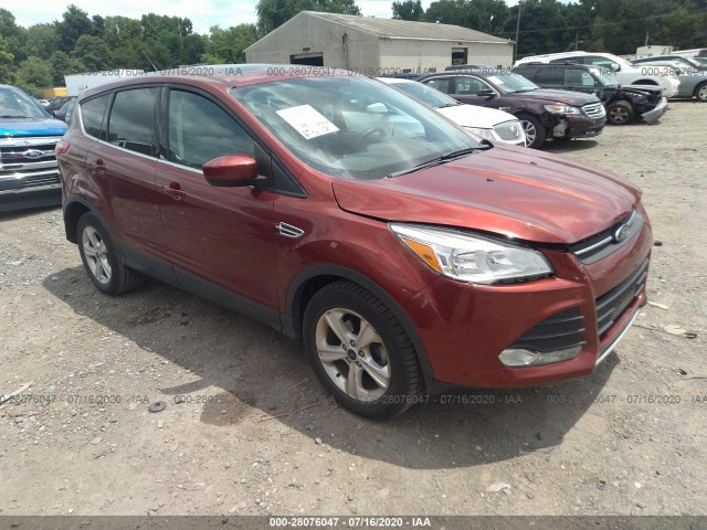 FORD ESCAPE 2014 1fmcu0gx9eub53346