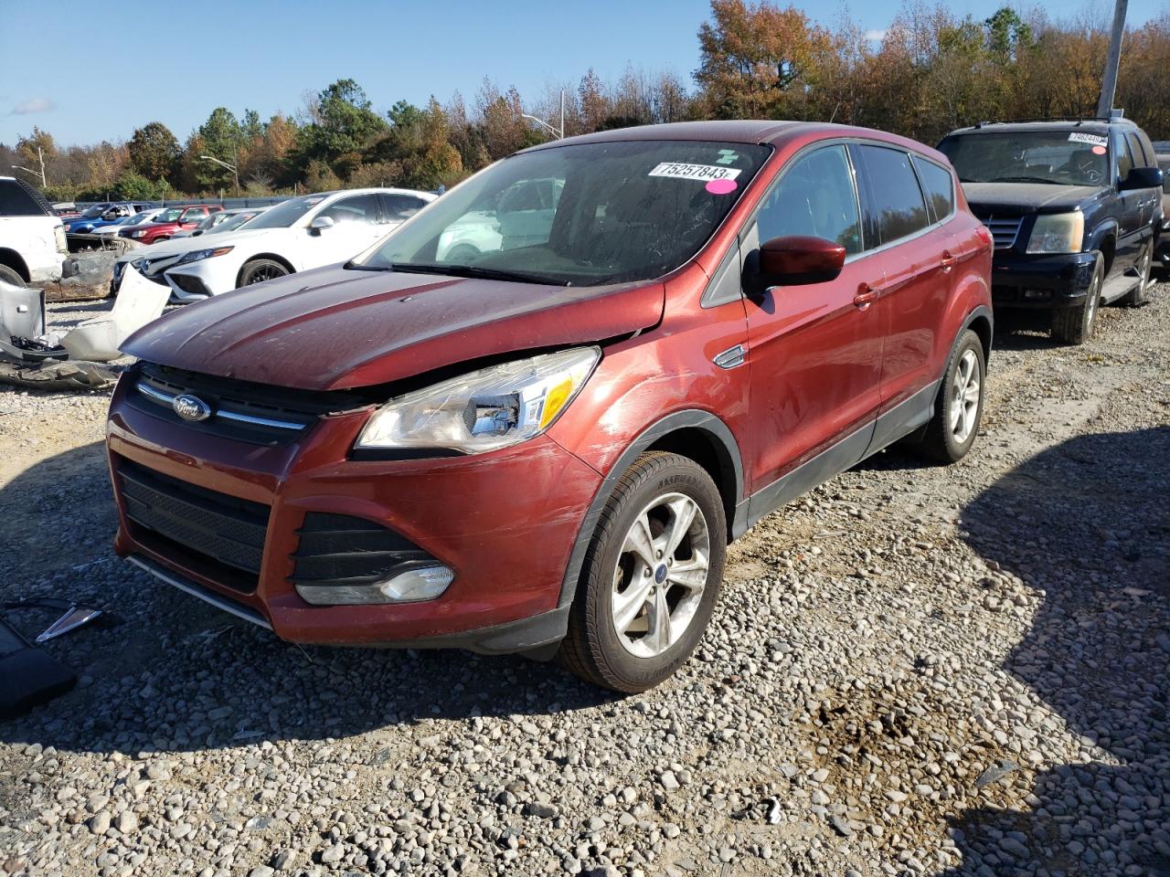 FORD ESCAPE 2014 1fmcu0gx9eub54397