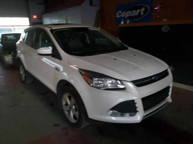 FORD ESCAPE SE 2014 1fmcu0gx9eub95080