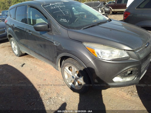 FORD ESCAPE 2014 1fmcu0gx9euc00570