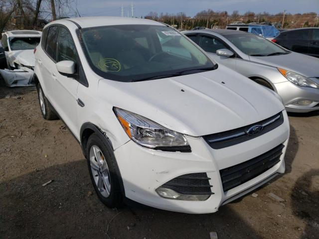 FORD ESCAPE SE 2014 1fmcu0gx9euc02822