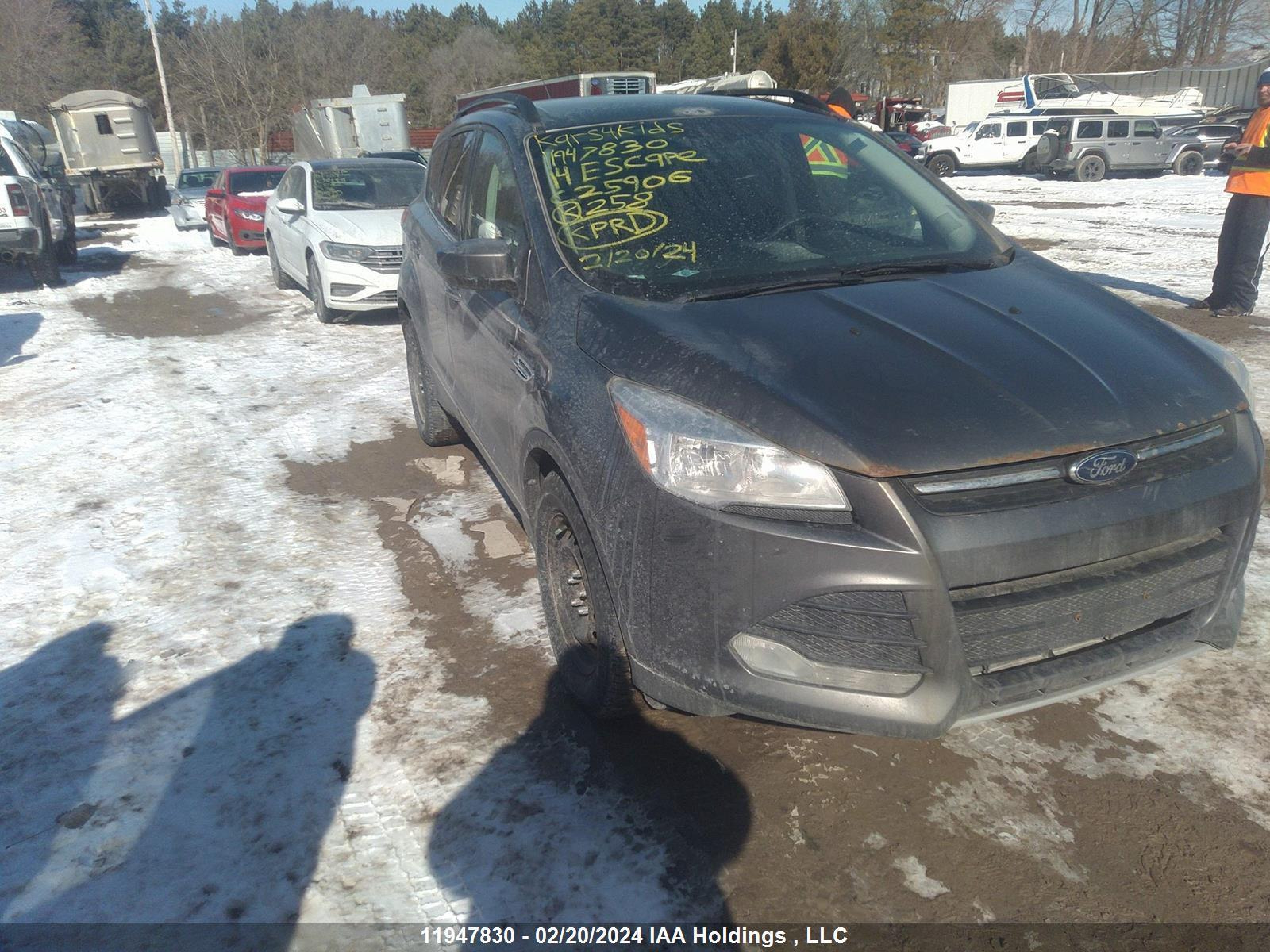 FORD ESCAPE 2014 1fmcu0gx9euc25906