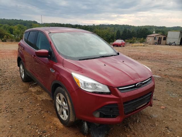 FORD ESCAPE SE 2014 1fmcu0gx9euc29616