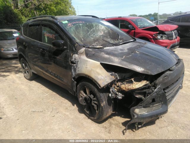 FORD ESCAPE 2014 1fmcu0gx9euc39174