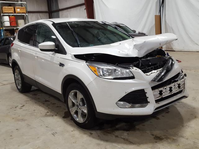 FORD ESCAPE SE 2014 1fmcu0gx9euc66438