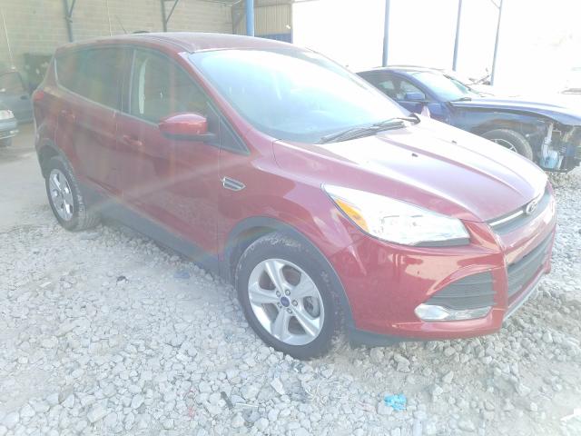 FORD ESCAPE SE 2014 1fmcu0gx9euc67315