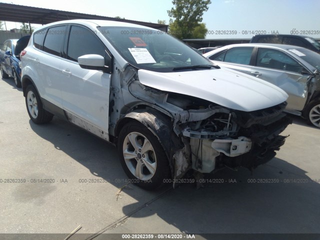 FORD ESCAPE 2014 1fmcu0gx9eud71836