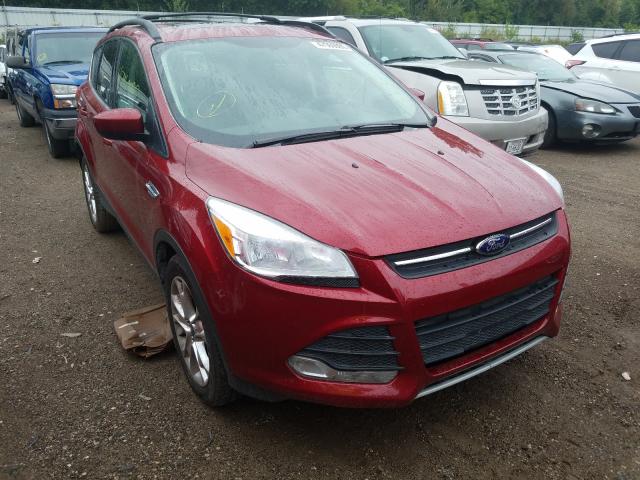 FORD ESCAPE SE 2013 1fmcu0gxxdua39774