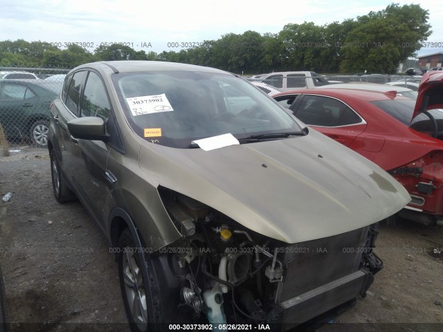 FORD ESCAPE 2013 1fmcu0gxxdub43889