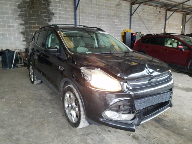 FORD ESCAPE SE 2013 1fmcu0gxxduc01340