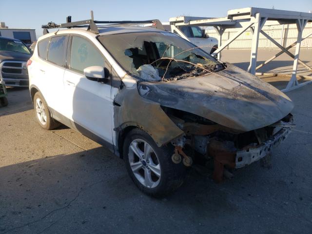 FORD ESCAPE SE 2013 1fmcu0gxxduc56080