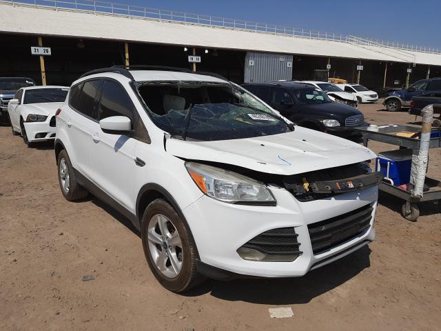 FORD ESCAPE SE 2013 1fmcu0gxxduc95302