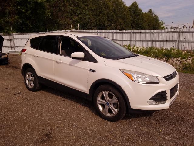 FORD ESCAPE SE 2013 1fmcu0gxxdud21042