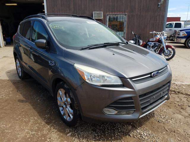 FORD ESCAPE SE 2013 1fmcu0gxxdud23759