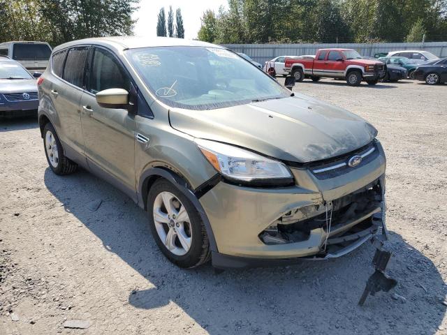 FORD ESCAPE SE 2013 1fmcu0gxxdud24376