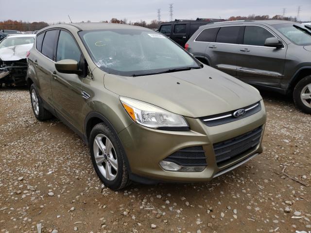 FORD ESCAPE SE 2013 1fmcu0gxxdud57166