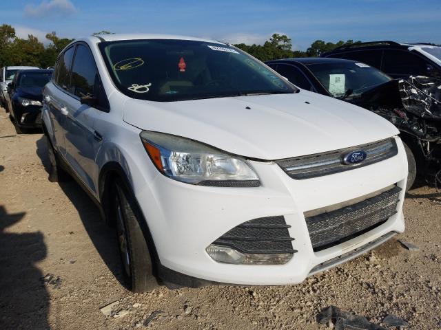 FORD ESCAPE SE 2014 1fmcu0gxxeua12897