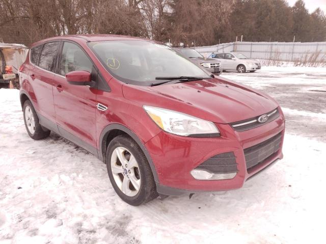 FORD ESCAPE SE 2014 1fmcu0gxxeua16691