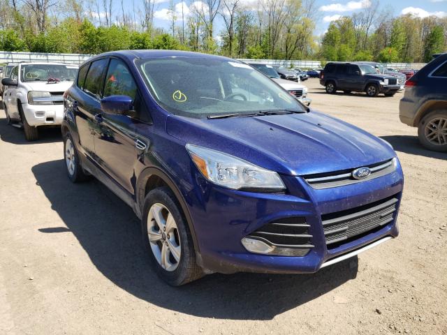 FORD ESCAPE SE 2014 1fmcu0gxxeua51845