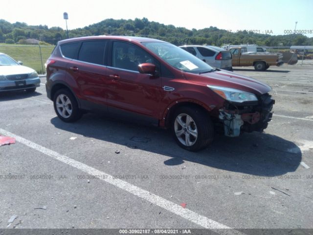 FORD ESCAPE 2014 1fmcu0gxxeua70248