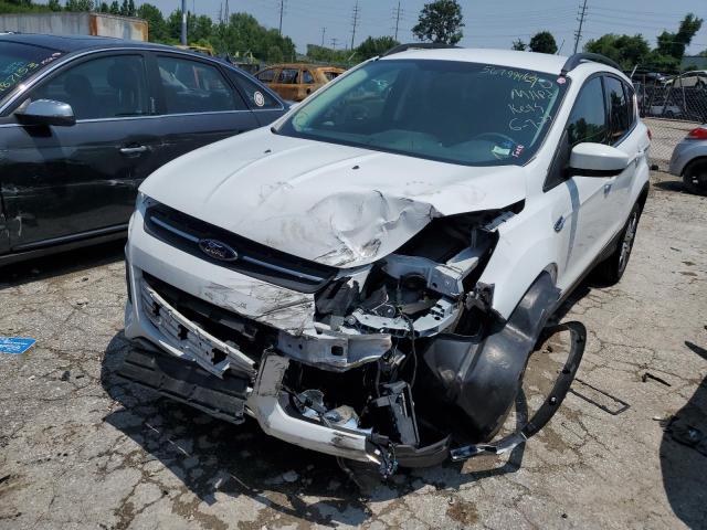 FORD ESCAPE SE 2014 1fmcu0gxxeua76065