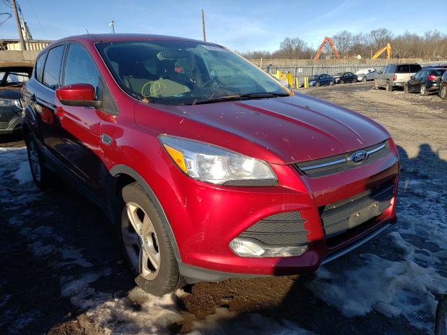 FORD ESCAPE 2014 1fmcu0gxxeua81301