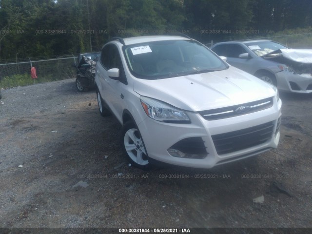 FORD ESCAPE 2014 1fmcu0gxxeua97501