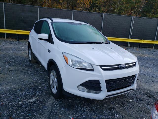 FORD ESCAPE SE 2014 1fmcu0gxxeub23319