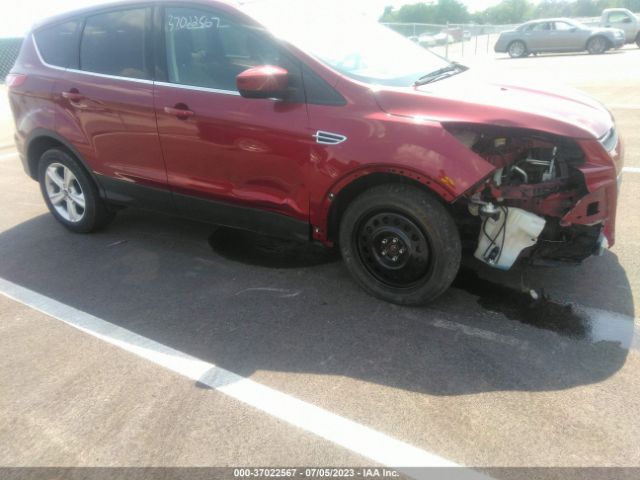 FORD ESCAPE 2014 1fmcu0gxxeub26995