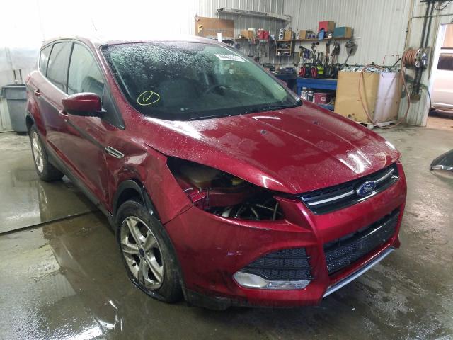 FORD ESCAPE SE 2014 1fmcu0gxxeub46759