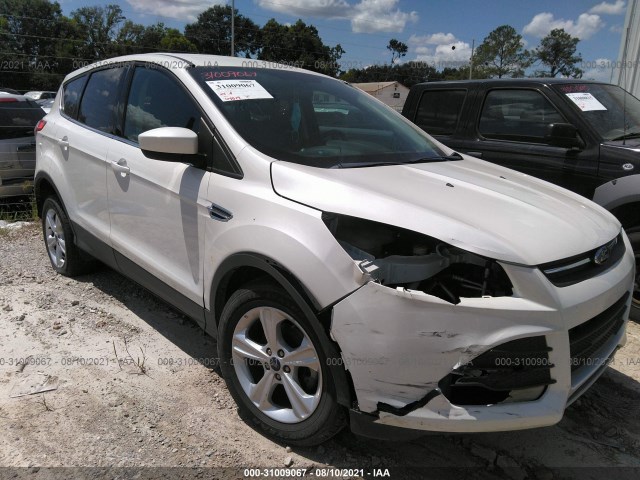 FORD ESCAPE 2014 1fmcu0gxxeub55266