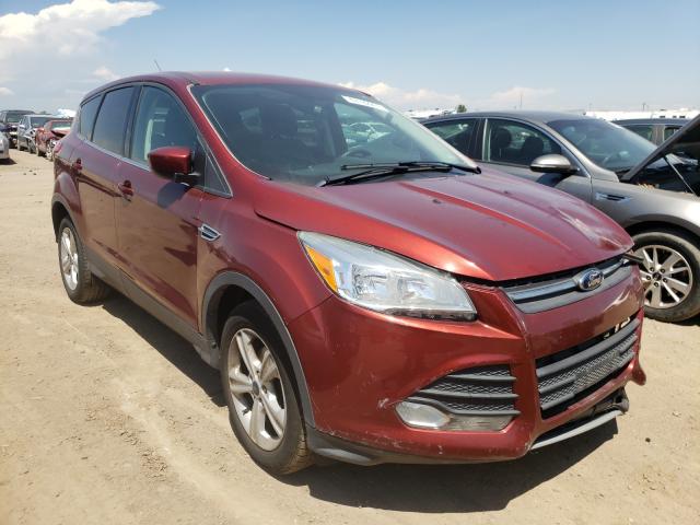 FORD ESCAPE SE 2014 1fmcu0gxxeub60645