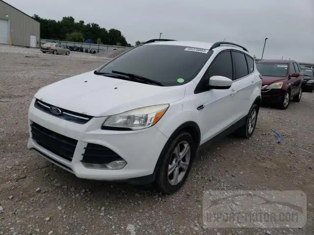 FORD ESCAPE 2014 1fmcu0gxxeub98182