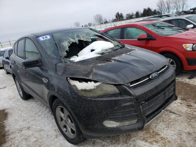 FORD ESCAPE 2014 1fmcu0gxxeuc02084