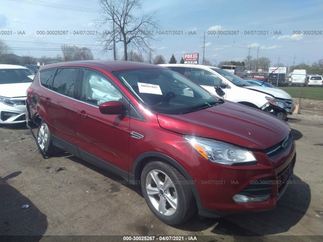 FORD ESCAPE 2014 1fmcu0gxxeuc06779