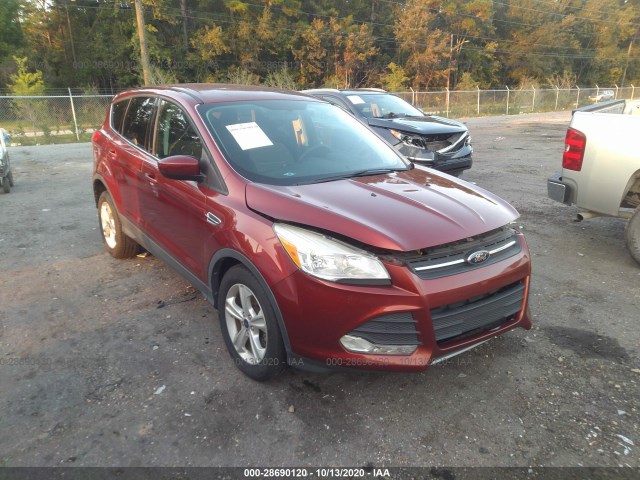 FORD ESCAPE 2014 1fmcu0gxxeuc09259