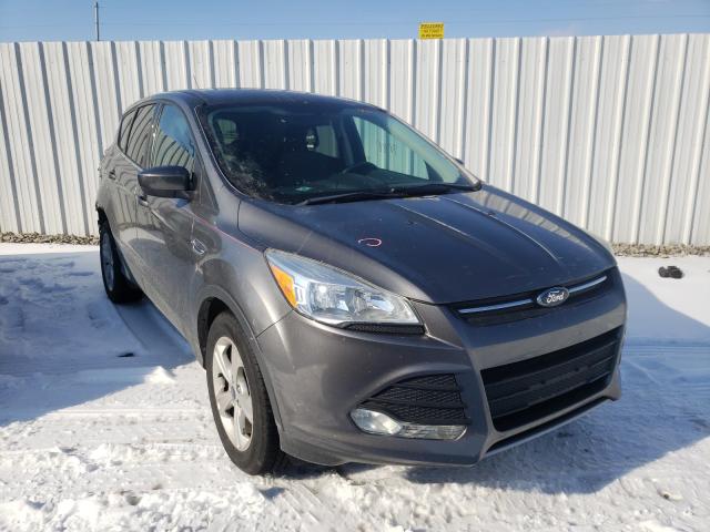 FORD ESCAPE SE 2014 1fmcu0gxxeuc15210