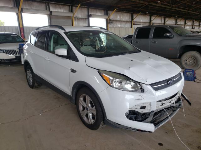 FORD ESCAPE SE 2014 1fmcu0gxxeuc47039