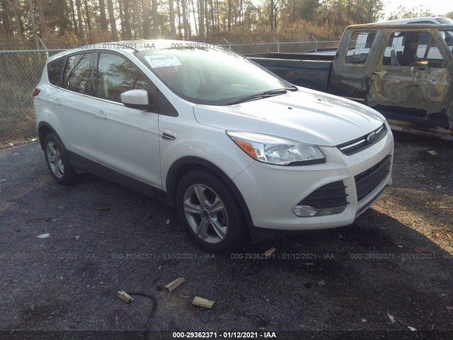 FORD ESCAPE 2014 1fmcu0gxxeuc50975