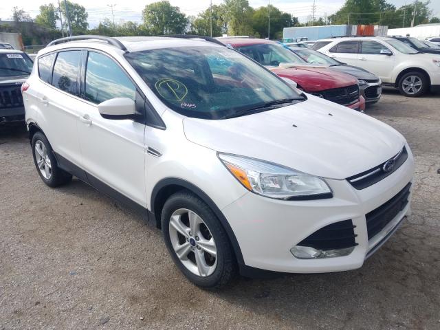 FORD ESCAPE SE 2014 1fmcu0gxxeuc58462