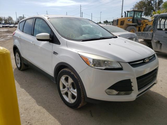 FORD ESCAPE SE 2014 1fmcu0gxxeuc69381