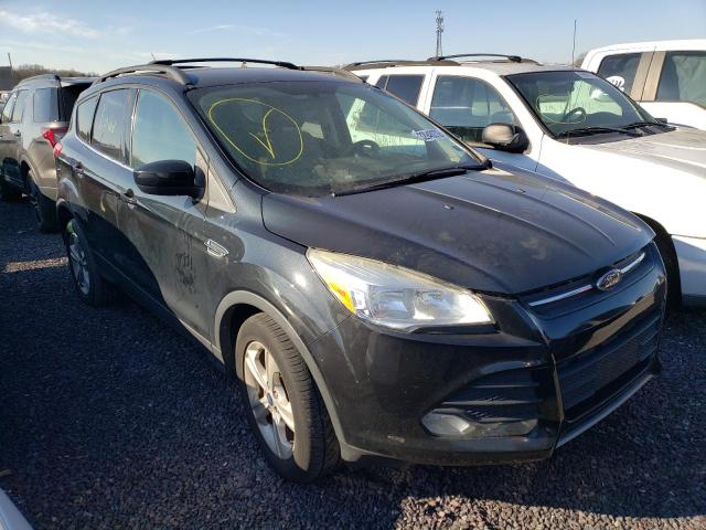 FORD ESCAPE SE 2014 1fmcu0gxxeuc98413