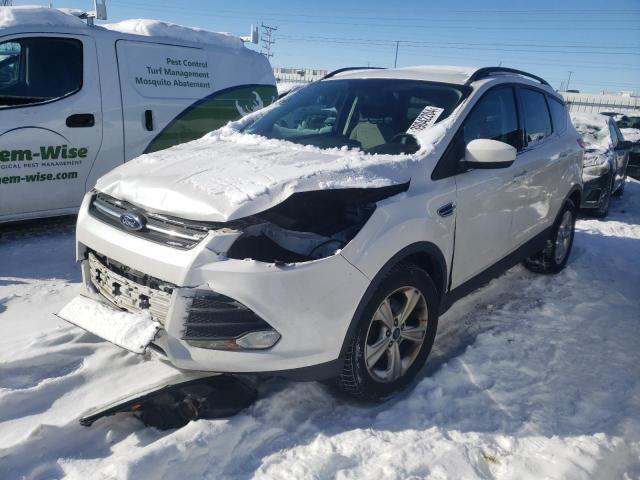 FORD ESCAPE 2014 1fmcu0gxxeud00449