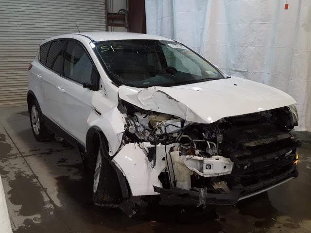 FORD ESCAPE SE 2014 1fmcu0gxxeud02847