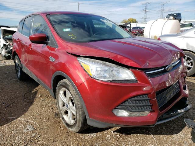 FORD ESCAPE SE 2014 1fmcu0gxxeud06901