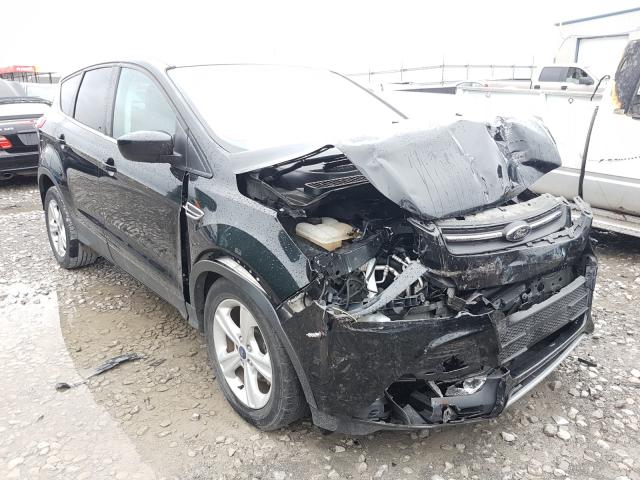 FORD ESCAPE SE 2014 1fmcu0gxxeud50932