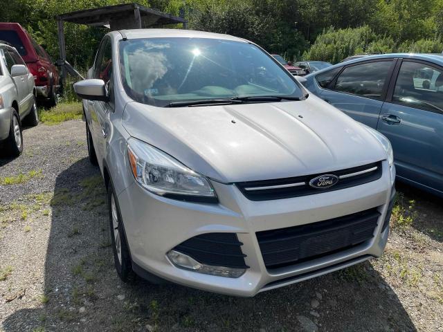 FORD ESCAPE SE 2014 1fmcu0gxxeud98673